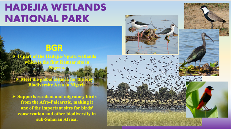 BGR - Part of the Hadejia-Nguru wetlands